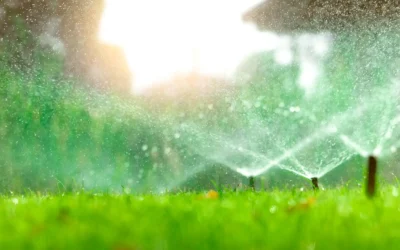 Starting Up Your Sprinklers in the Springtime: A Comprehensive Guide