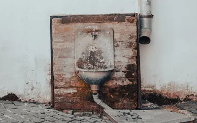 The-History-of-Plumbing
