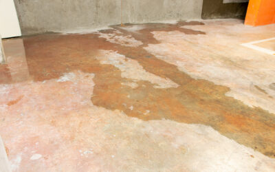 Signs You Have a Slab Leak (And Why It’s Urgent)