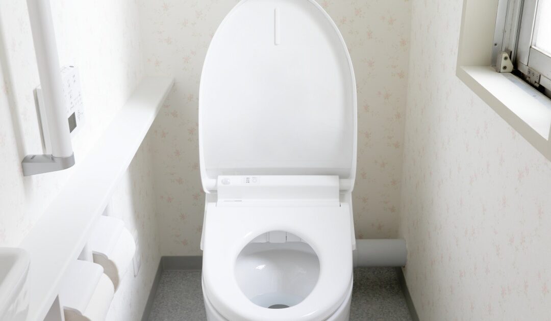 Why Your Toilet Keeps Running (And What It’s Costing You)