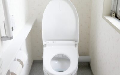 Why Your Toilet Keeps Running (And What It’s Costing You)